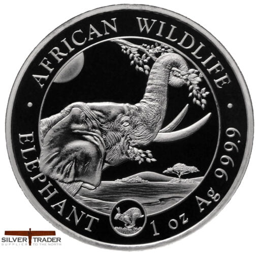 2023 Somalian Elephant Lunar Privy 1oz Silver Bullion Coin