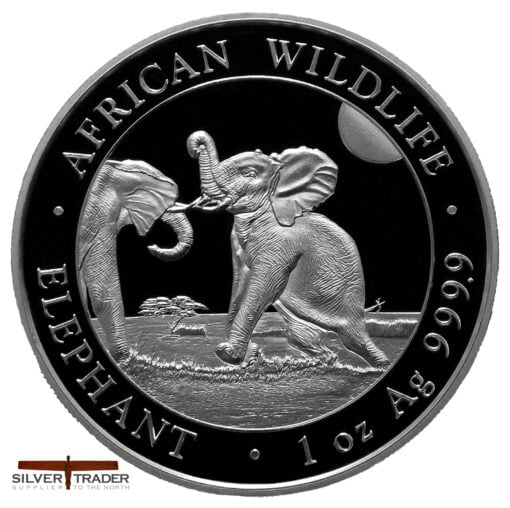 2024 Somalian Elephant 1oz Silver Bullion Coin
