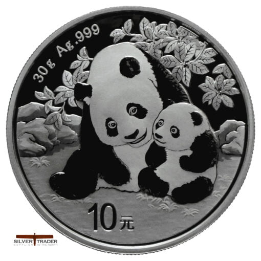 2024 Chinese Panda 30 gram 999 Silver Bullion Coin