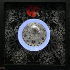 2024 Lady Bird Entoma Ultra High Relief 1oz Silver Bullion Proof