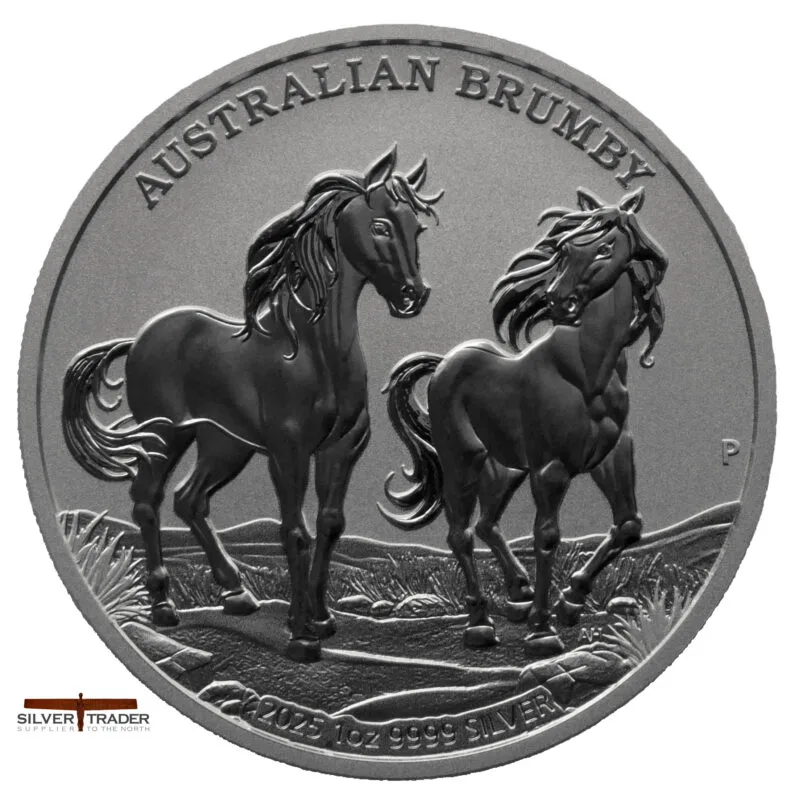 South ShoreサバンナアルモアPureホワイト Natural Habitat Adventures 2025&frasl;2026 Catalog: \"40th Anniversary