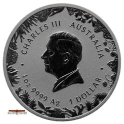 2026 The Outback Wonders of Australia 1oz Silver Bullion Coin