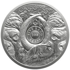 2026 South African Buffalo Big 5 Series3 1oz Silver Bullion Coin - Image 3