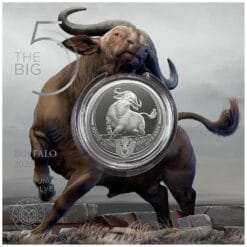 2026 South African Buffalo Big 5 Series3 1oz Silver Bullion Coin - Image 4
